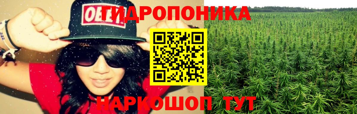 Бошки Шишки конопля Южно-Сахалинск